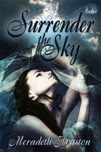 Surrender the Sky by Meradeth Houston