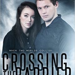 Crossing the Barrier by Martine Lewis